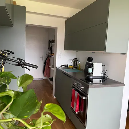 Kuscheln Im Hochbett Mit Seeblick Apartment Strobl